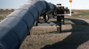 historique de Survey