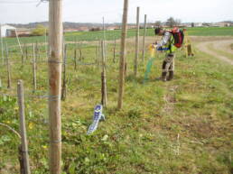 protection-cathodique-survey