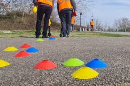 formation sur-mesure survey