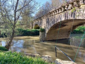 Aide assistance moe moa survey