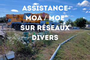 Assistance MOA MOE Survey