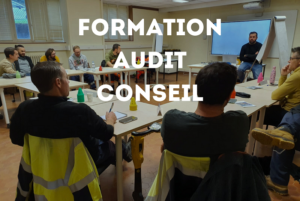 formation audit conseil survey