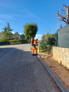 intégrité des canalisation survey