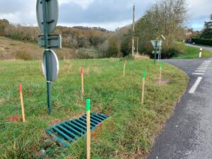 type de détection survey