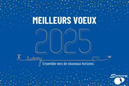 bonne année 2025 survey