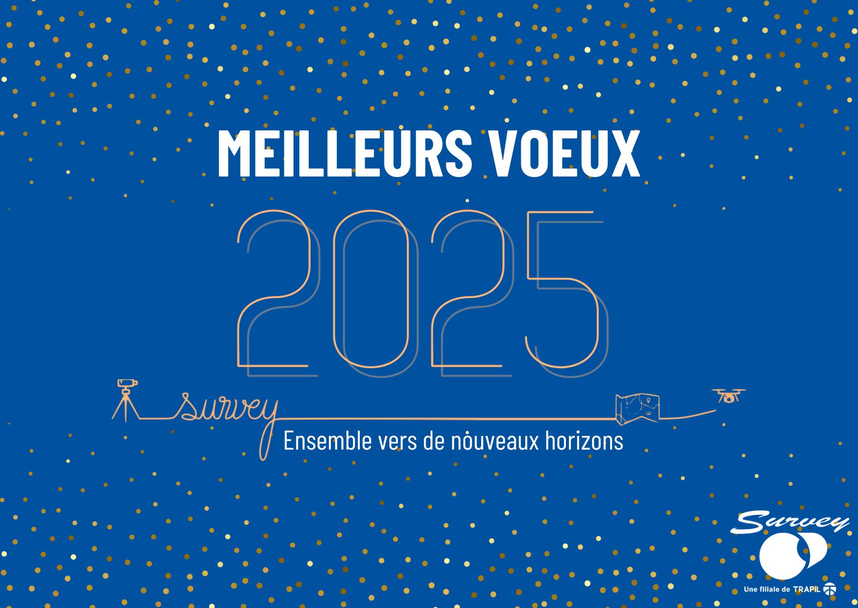 bonne année 2025 survey
