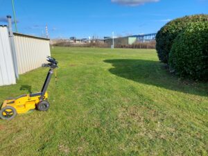 reference-client-survey