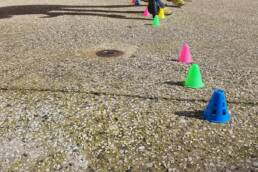 formation survey détection réseaux