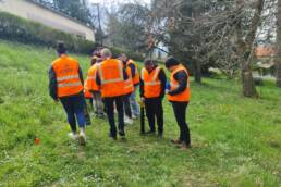 formations survey ingénierie