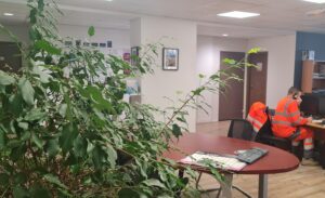 agence grand est survey