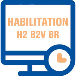 formation_survey_H2_B2V_BR