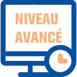formation_survey_niveau_avancé-