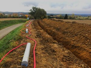 etudes environnementales survey