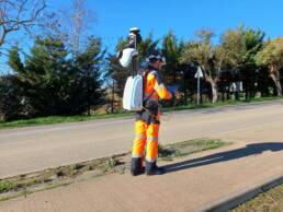 agences survey France