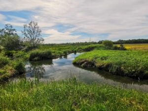 étude environnementale survey