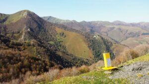 études d'impact environnemental survey