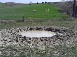 surveillances ligne survey