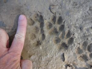 survey environnement études