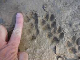 survey environnement &eacute;tudes