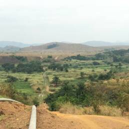 survey etude environnement