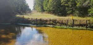 survey etudes d'environnement