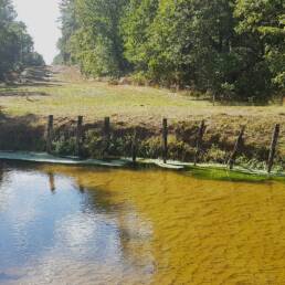 survey etudes d'environnement