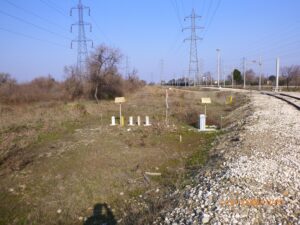 survey surveillance de ligne