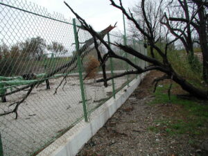 survey-surveillance-ligne