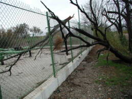 survey-surveillance-ligne