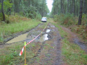 survey surveillences de ligne