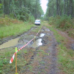 survey surveillences de ligne