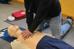 survey SST formation