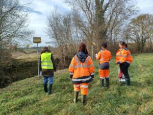 audit certification iso 9001 Survey