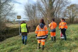 audit certification iso 9001 Survey